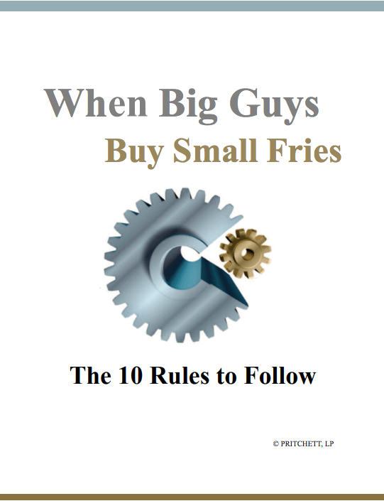 When Big Guys Buy Small Fries: The 10 Rules to Follow